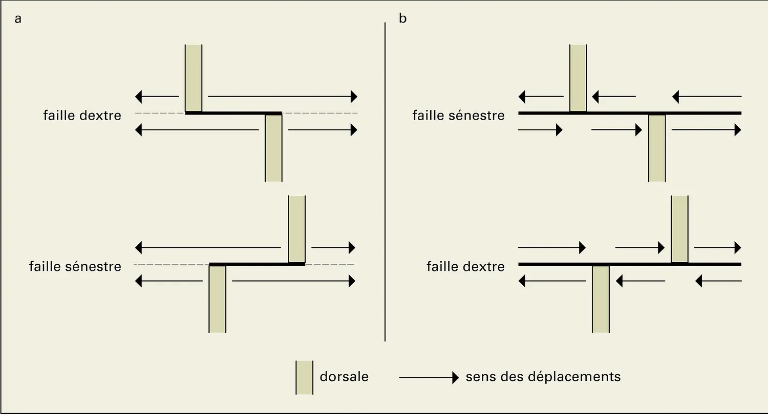 Origine des failles de transformation et de cisaillement