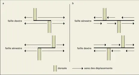 Origine des failles de transformation et de cisaillement - crédits : Encyclopædia Universalis France