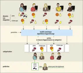 Apprentissage non supervisé - crédits : Encyclopædia Universalis France