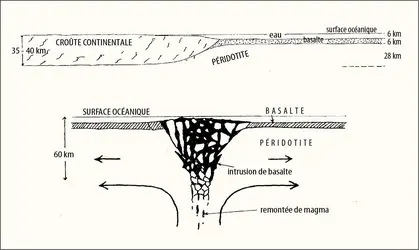 Modèle synthétique de la structure et de l’expansion des fonds océaniques proposé par Harry Hess en 1954 - crédits : Harry Hess ; traduction : EUF