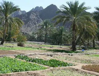 Kuthwa, Oman - crédits : B. Dumortier