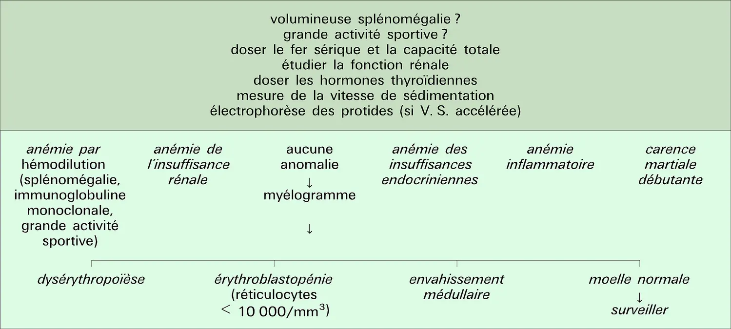 Anémie normochrome normocytaire arégénérative