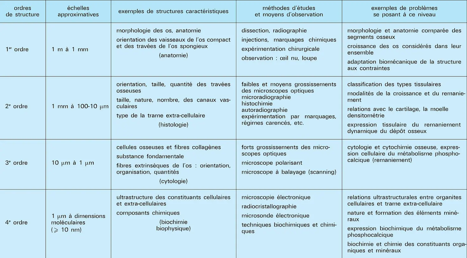 Ordres de structure du tissu osseux