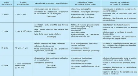 Ordres de structure du tissu osseux - crédits : Encyclopædia Universalis France