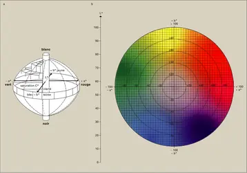 Colorimétrie : l'espace couleur CIELAB 1976 - crédits : Encyclopædia Universalis France