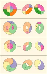 Transformation d'un disque en deux ovales troués - crédits : Encyclopædia Universalis France