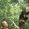 Jane Goodall - crédits : M. Neugebauer/ avec l'aimable autorisation de l'Institut Jane Goodall