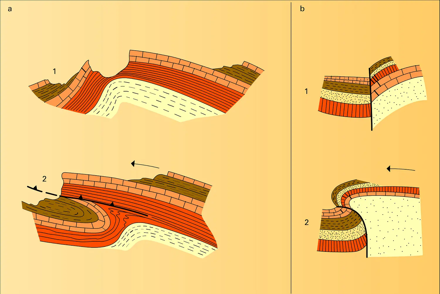 Tectonique et morphologie