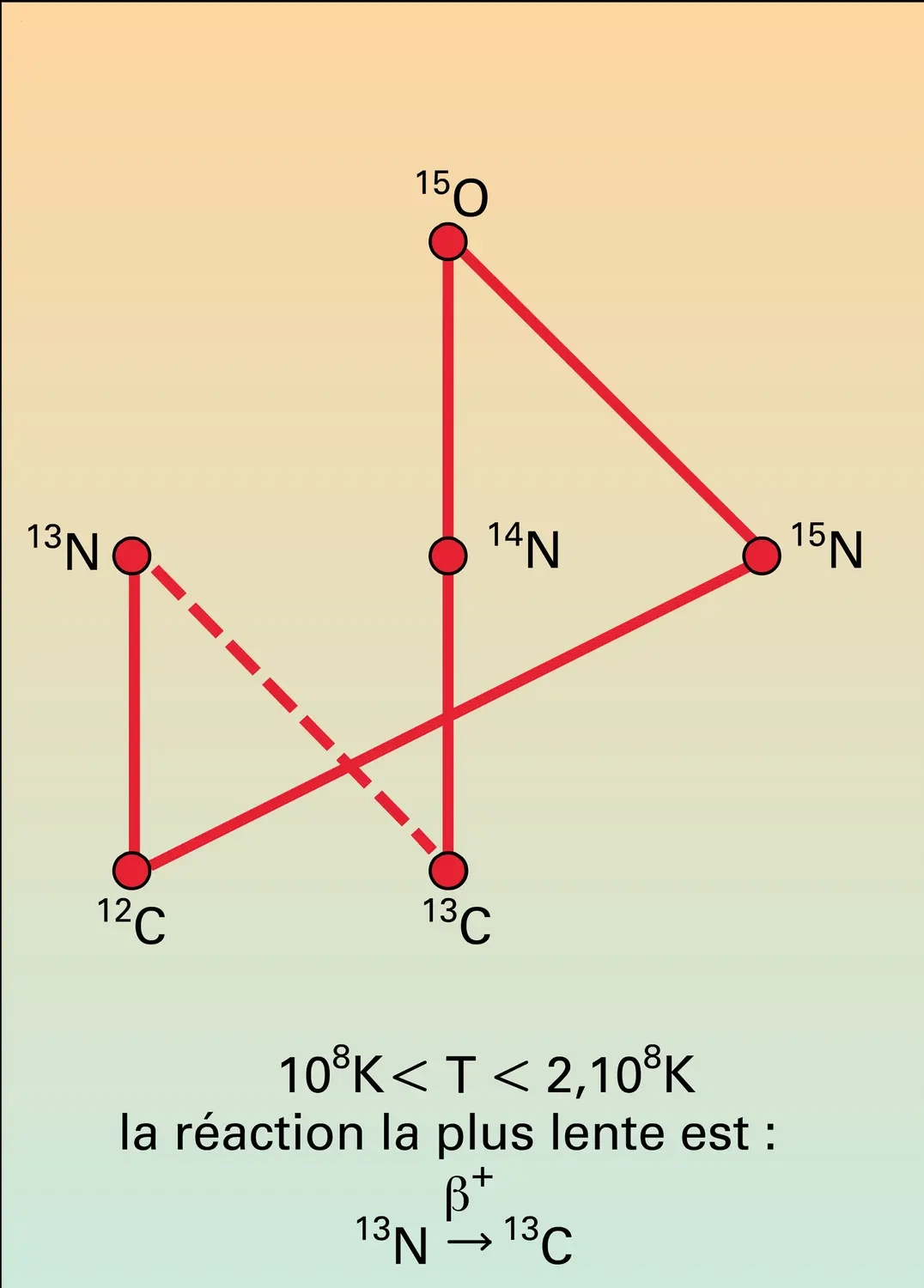 Cycles C.N.O. - vue 2