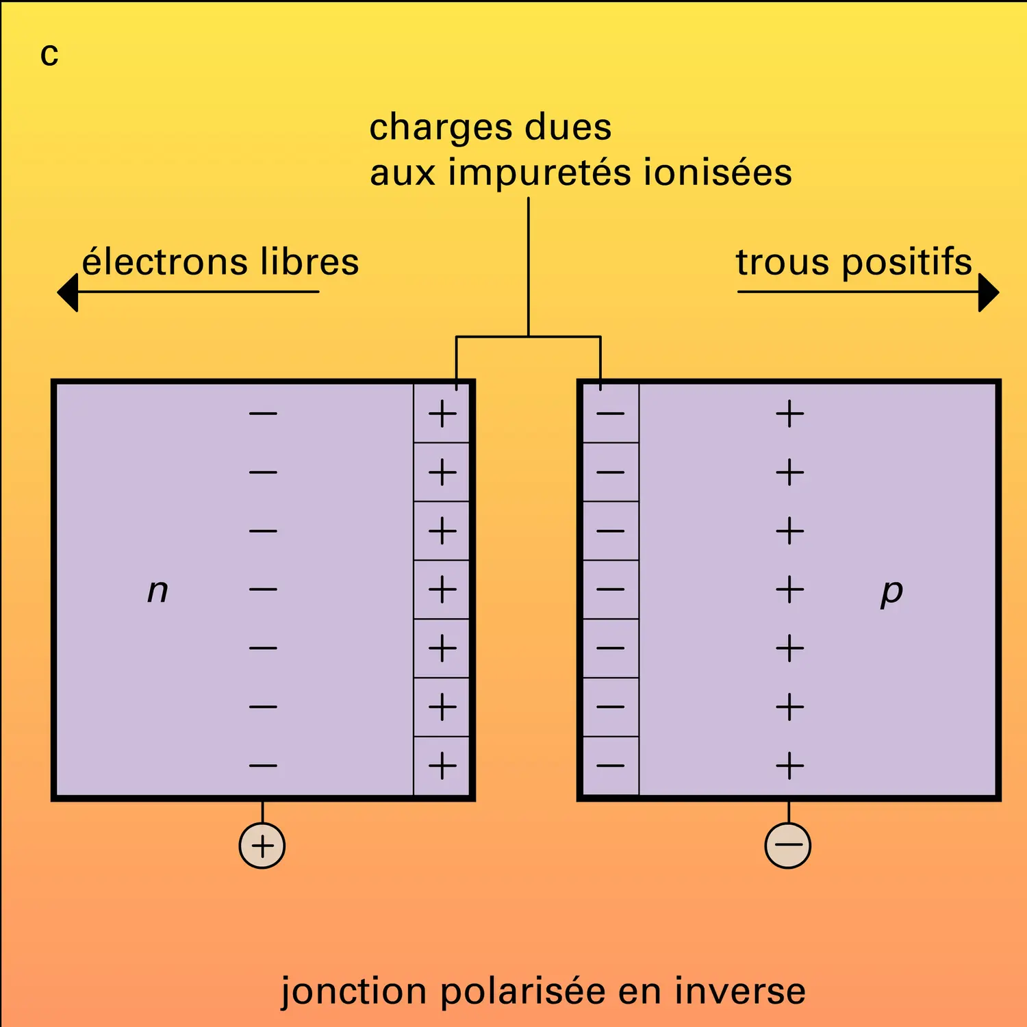 Jonction n-p - vue 3