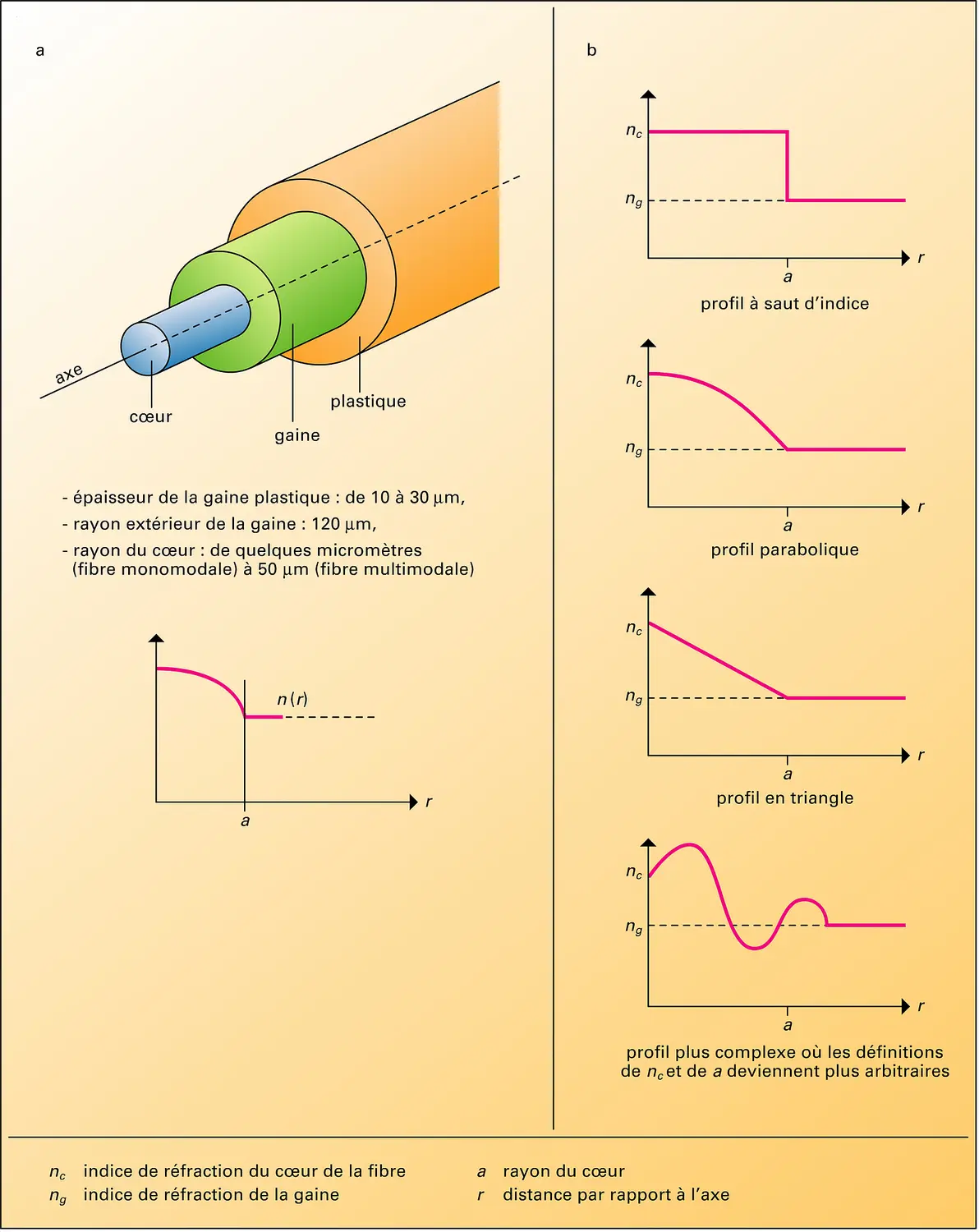 Structure d'une fibre optique et profils d'indice