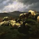 <it>Moutons dans les Highlands</it>, R. Bonheur - crédits :  Bridgeman Images 
