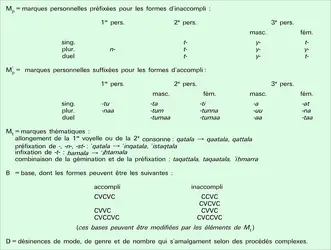 Canon de la forme verbale - crédits : Encyclopædia Universalis France