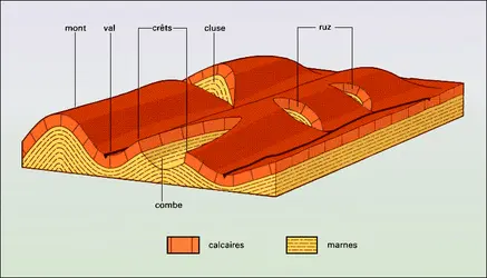 Formes jurassiennes - crédits : Encyclopædia Universalis France