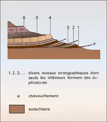 Duplicatures - crédits : Encyclopædia Universalis France