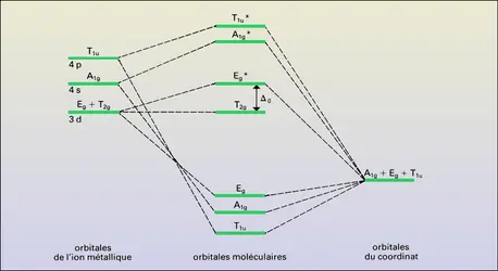 Niveaux d'énergie d'orbitales moléculaires pour un complexe octaédrique - crédits : Encyclopædia Universalis France