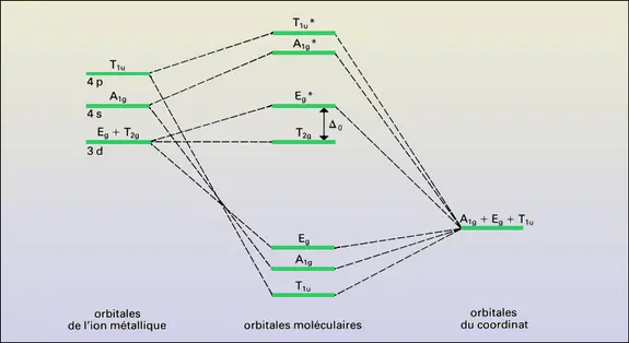 Niveaux d'énergie d'orbitales moléculaires pour un complexe octaédrique