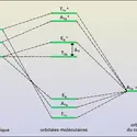 Niveaux d'énergie d'orbitales moléculaires pour un complexe octaédrique - crédits : Encyclopædia Universalis France