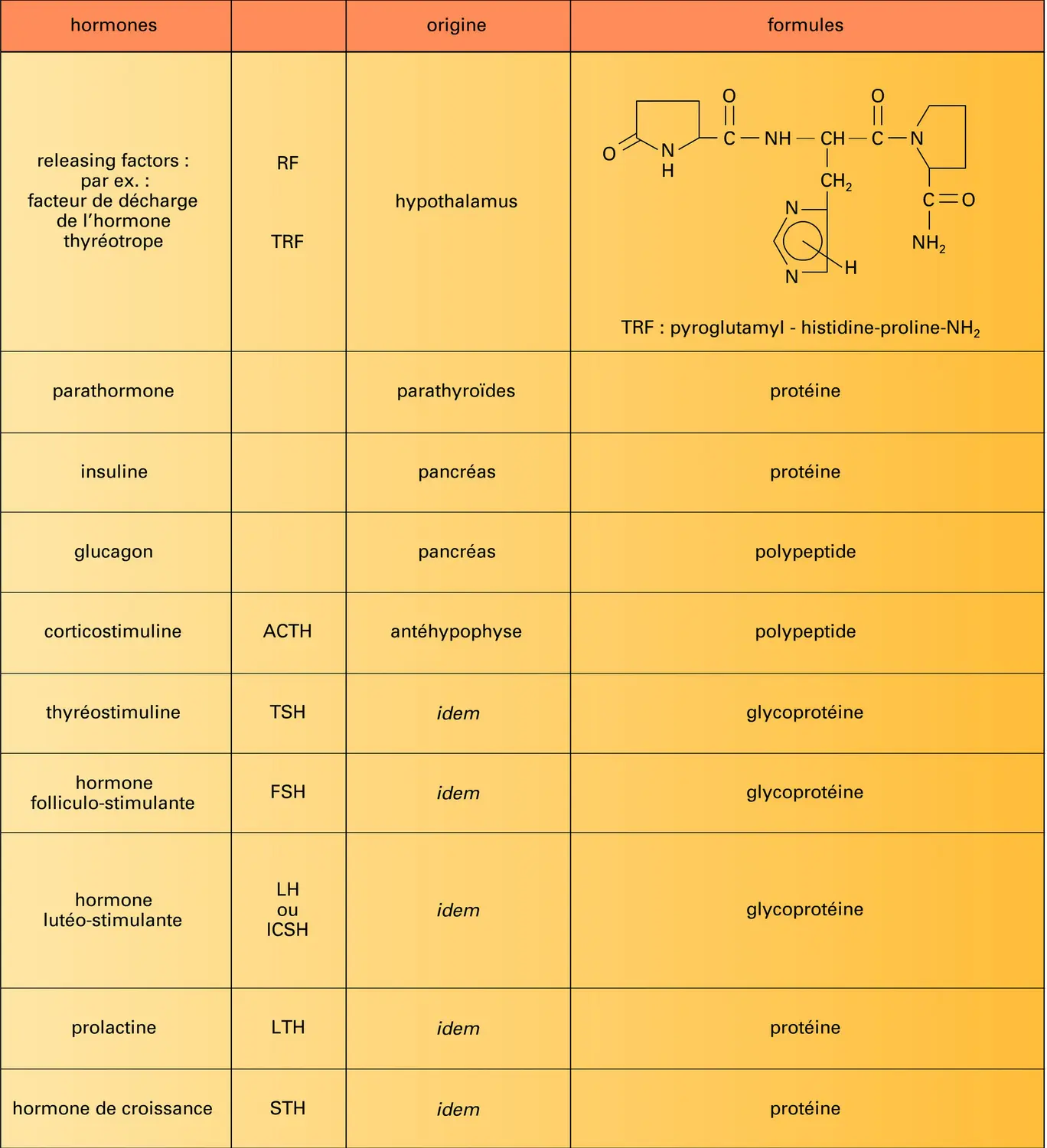 Vertébrés : hormones peptidiques et protidiques - vue 1