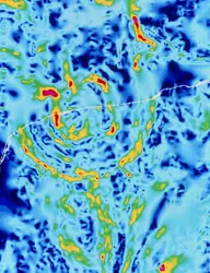 Carte des anomalies de gravité du nord de la péninsule du Yucatán (Mexique) - crédits : Commission géologique du Canada/ SPL France