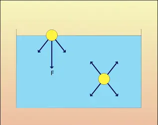 Forces - crédits : Encyclopædia Universalis France