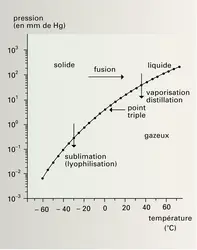 Tension de vapeur d'eau et température - crédits : Encyclopædia Universalis France