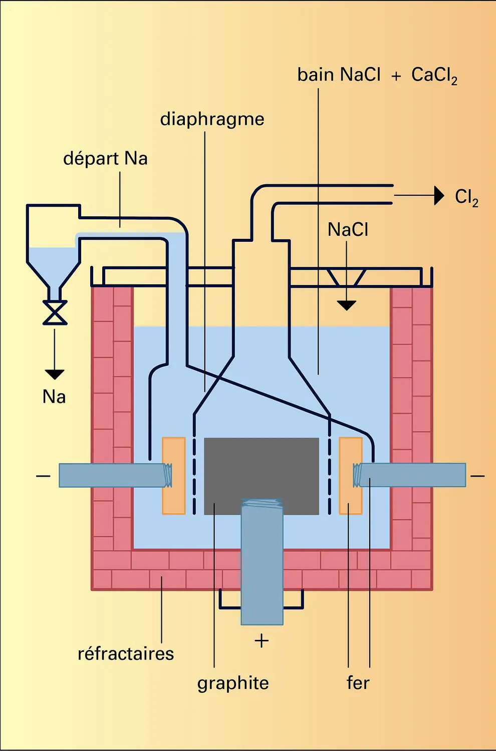 Cellule Downs