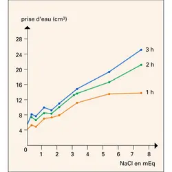 Effets du NaCl sur la réponse dipsique - crédits : Encyclopædia Universalis France