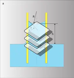 Effet de l'énergie interfaciale - crédits : Encyclopædia Universalis France