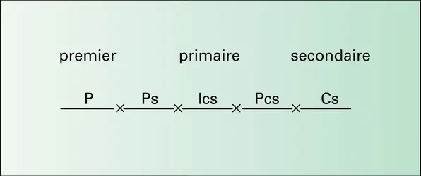 Graphe des lignes du schéma de Freud - crédits : Encyclopædia Universalis France