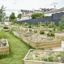 Jardins partagés Jean-Jaurès, à Montrouge (Hauts-de-Seine) - crédits : Magali Cohen/ Hans Lucas/ AFP
