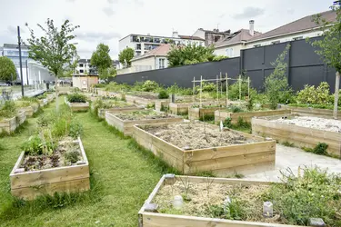 Jardins partagés Jean-Jaurès, à Montrouge (Hauts-de-Seine) - crédits : Magali Cohen/ Hans Lucas/ AFP