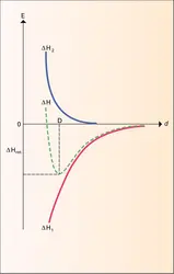 Variation des énergies d'attraction et répulsion - crédits : Encyclopædia Universalis France