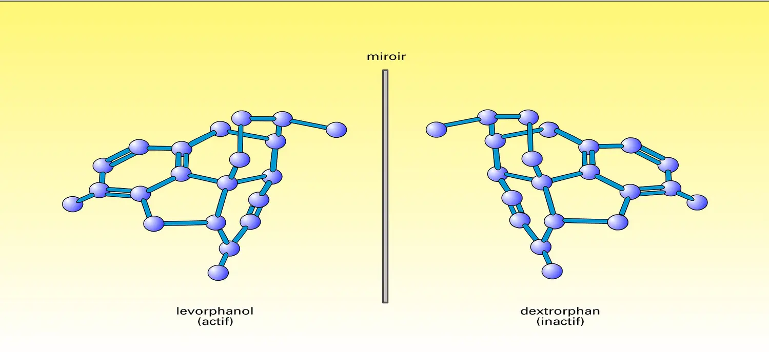 Inverses optiques