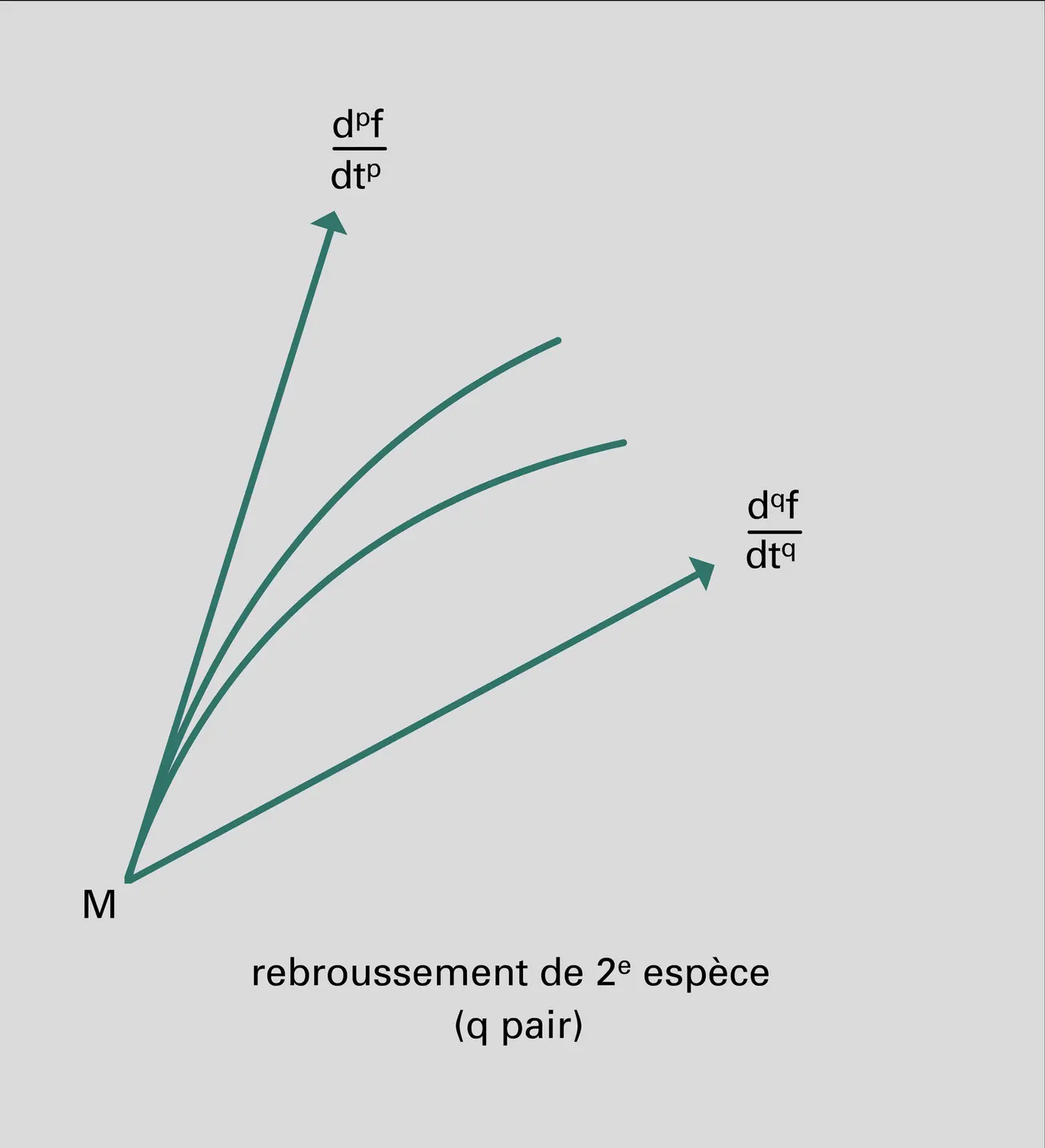 Points de rebroussement - vue 2