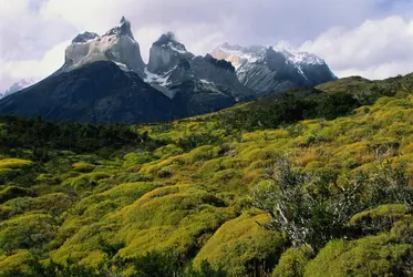 Parc national Torres del Paine, Chili, 2 - crédits : Glen Allison/ The Image Bank/ Getty Images