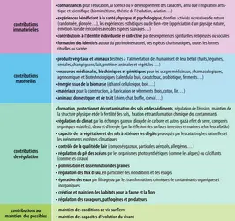 Les différentes contributions de la nature aux populations humaines - crédits : Encyclopædia Universalis France