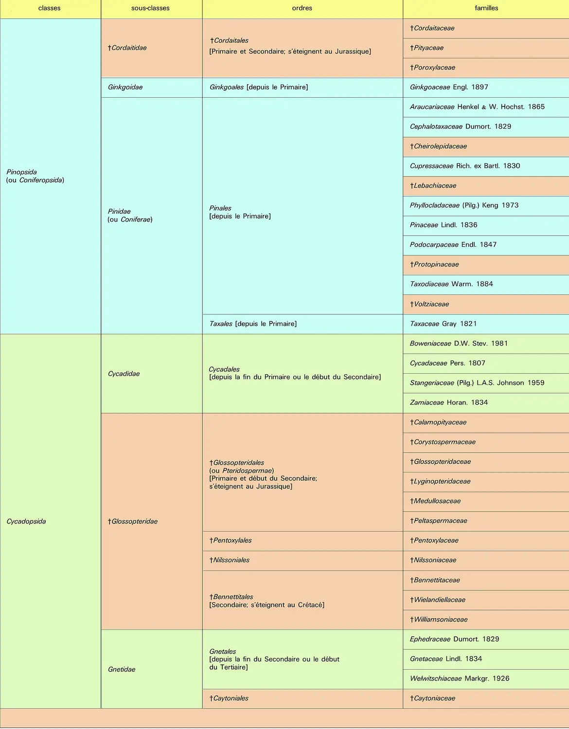 Sous-embranchement des <rm>Pinophytina</rm> ou <rm>Gymnospermae</rm> (gymnospermes) : classes, sous-classes, ordres, familles