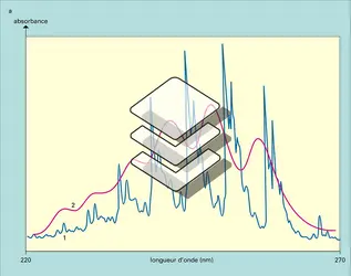 Spectres de raies (atomes) ou de bandes (molécules) - crédits : Encyclopædia Universalis France