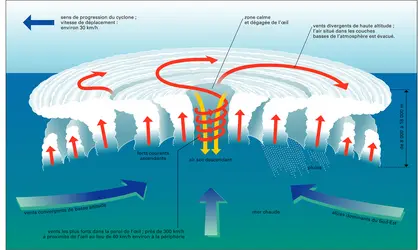 Structure d'un cyclone - crédits : Encyclopædia Universalis France