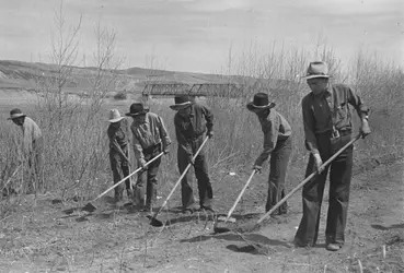 Leçons d'agriculture - crédits : Kurt Hutton/ Picture Post/ Getty Images