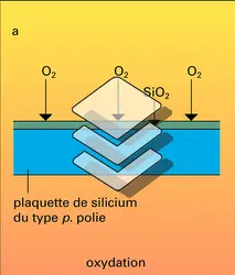 Fabrication de circuits intégrés - crédits : Encyclopædia Universalis France