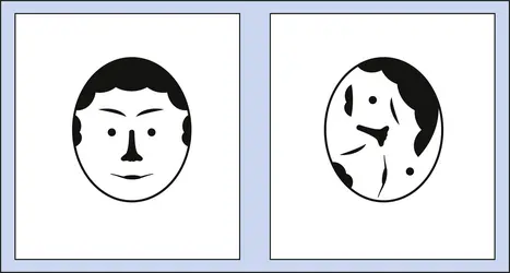 Le visage humain, un des stimuli visuels préférés des nourissons - crédits : Encyclopædia Universalis France