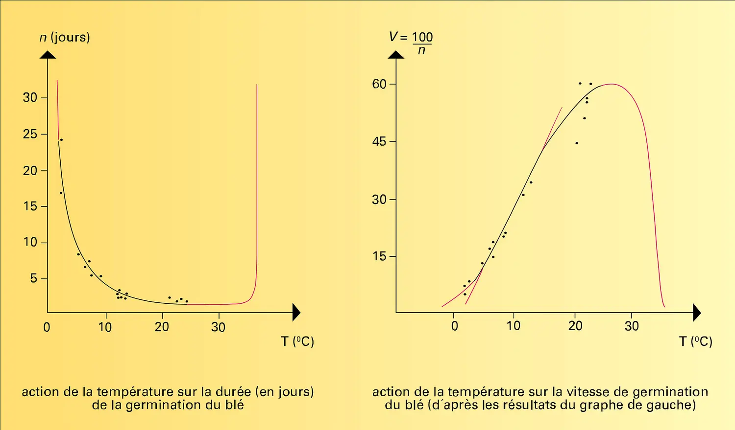 Végétaux : température sur le développement