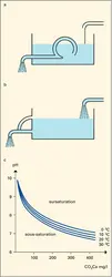 Émergence intermittente - crédits : Encyclopædia Universalis France