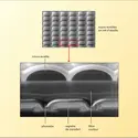 Photographie numérique : micro-lentille - crédits : Encyclopædia Universalis France