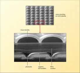 Photographie numérique : micro-lentille - crédits : Encyclopædia Universalis France