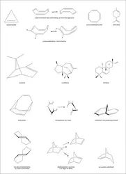 Cyclènes - crédits : Encyclopædia Universalis France