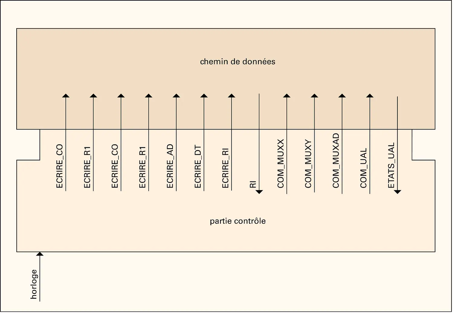 Ordinateur : unité de commande et chemin de données