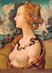 <it>Portrait de Simonetta Vespucci</it>, P. di Cosimo - crédits : Erich Lessing/ AKG-images